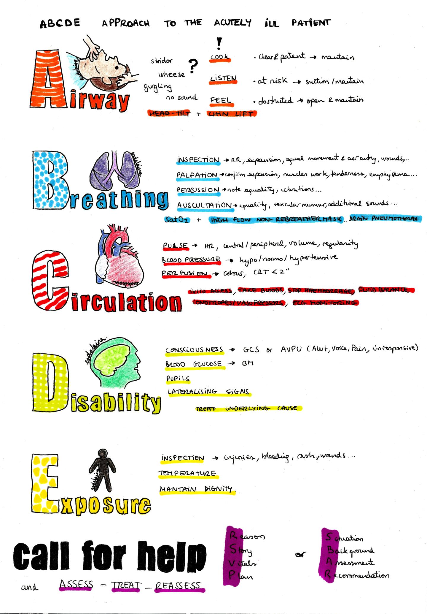 ABCDE approach to the acutely ill patient – Arztlogy