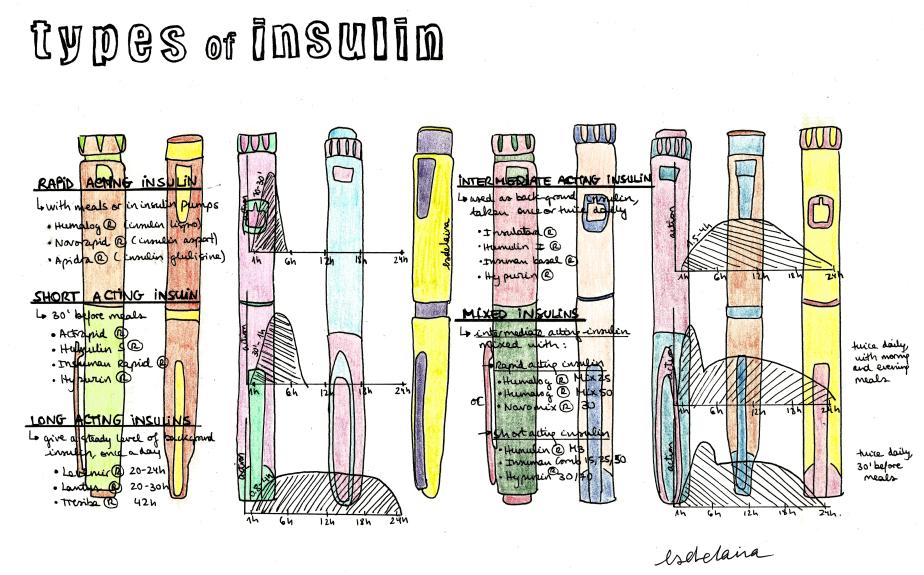 types of insulin